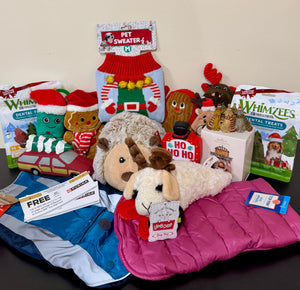 2024 Howliday Raffle: Santa Paws (small dog)