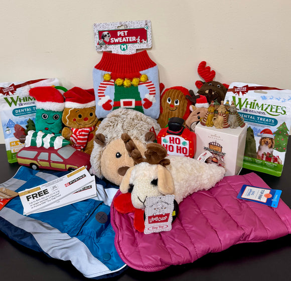 2024 Howliday Raffle: Santa Paws (small dog)